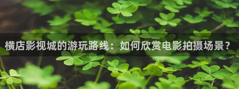 泡泡影视伦理片