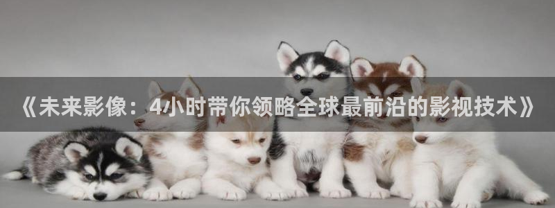 泡泡影视网页版