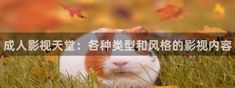 泡泡影视日韩